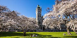 Students sitting on grass outside the Clocktower in Spring