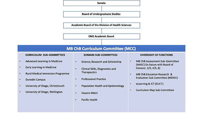 MBChB Governance structure 2021_1