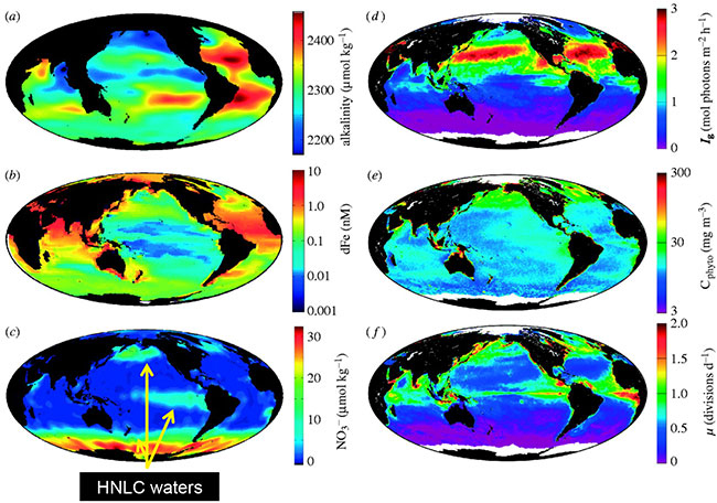 Fig2_global_nutrient_distribution_maps_