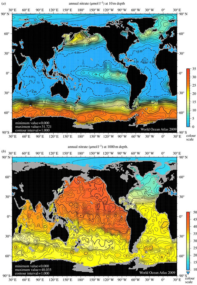 Fig3_global_nitrate_distribution_maps_surfaceanddeep