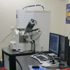 Zeiss Sigma microscope 
