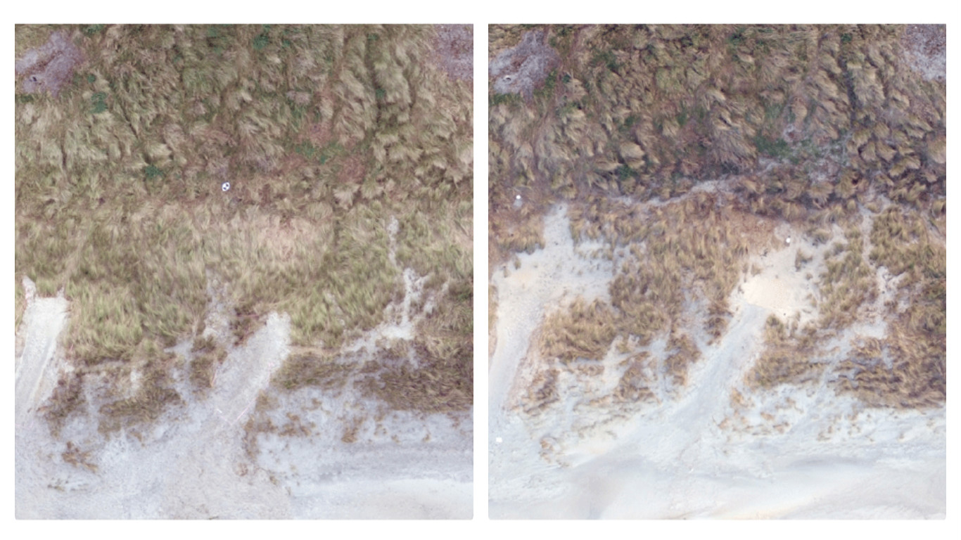 Dunes collage image