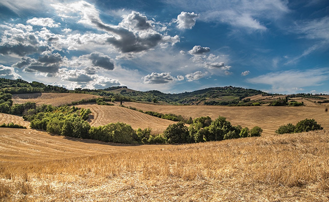 Rural landscape featuring rolling dry grassy hills with trees and blue sky image