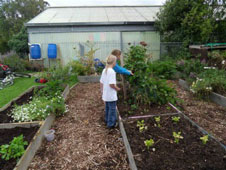 Edible garden image
