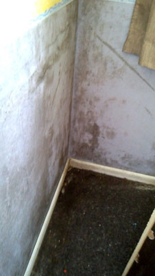 mouldy home image
