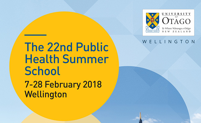 Public Health Summer School image
