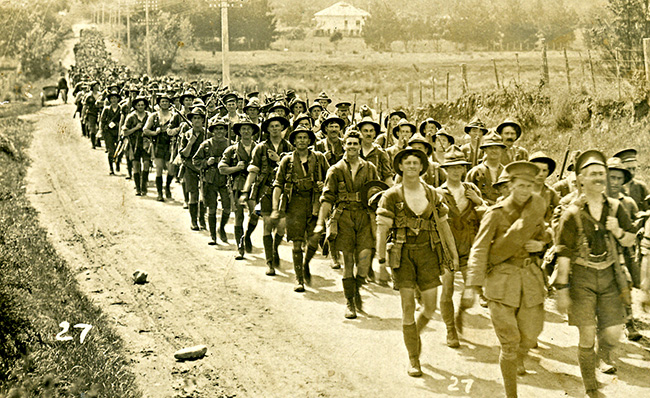 Soldiers Wellington image