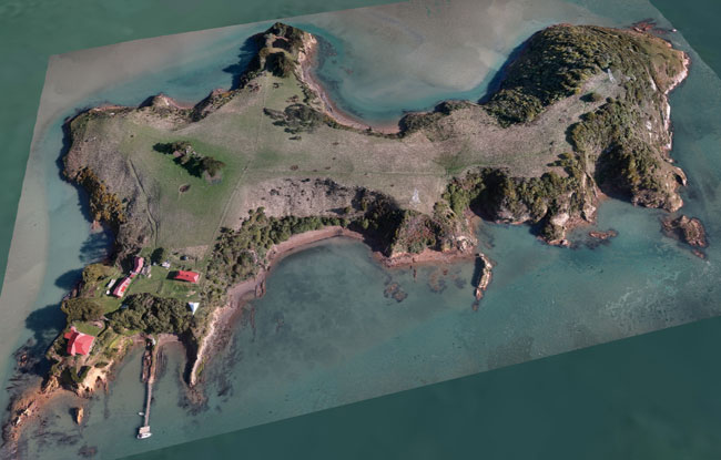 Quarantine Island image