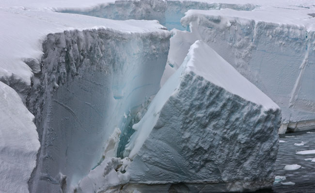 Ice shelf calving image