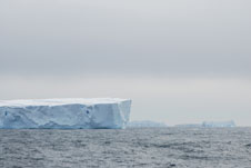 Wilkes iceberg image
