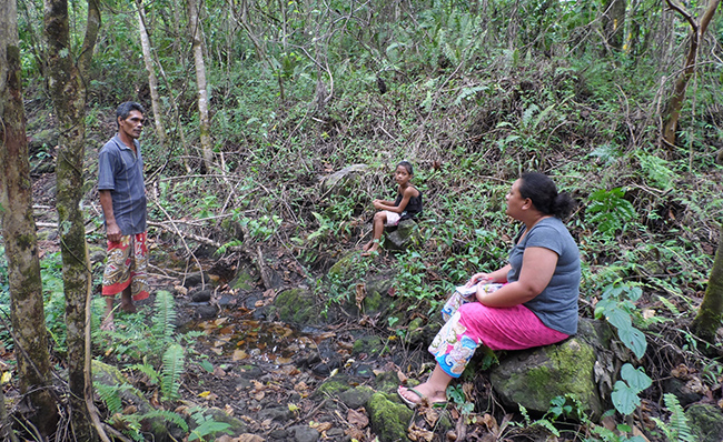 Anita Latai-Niusulu interviews Samoan farmer image