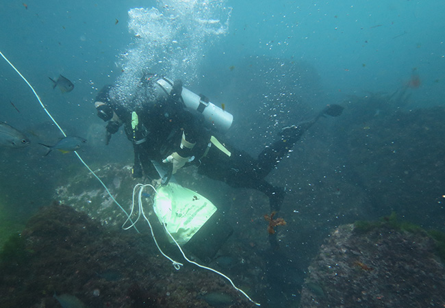 A diver collecting samples near a volcanic vent image 2020