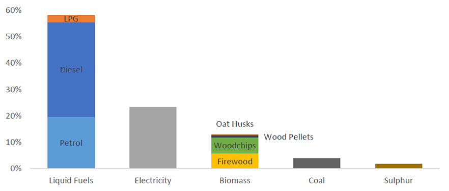 Dunedin Energy Chart image (2)