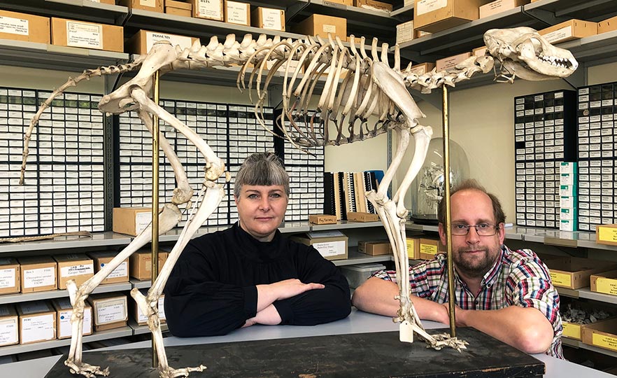 Karen Greig and Nic Rawlence with a kurī skeleton image