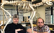 Karen Greig and Nic Rawlence with kurī skeleton