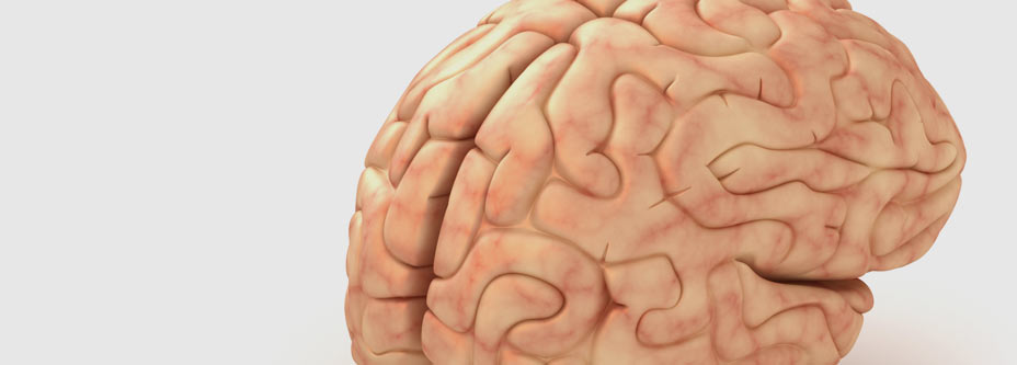 Scanner brain