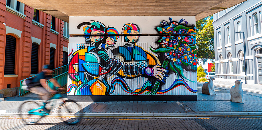 Cyclist passing street art in the Warehouse Precinct. Photo credit: Dunedin NZ.