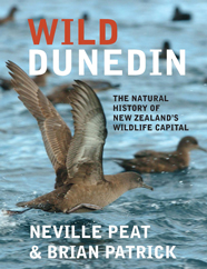 wild–dunedin_2019-web-thumbnail