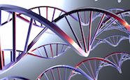Graphic of DNA double helix thumbnail