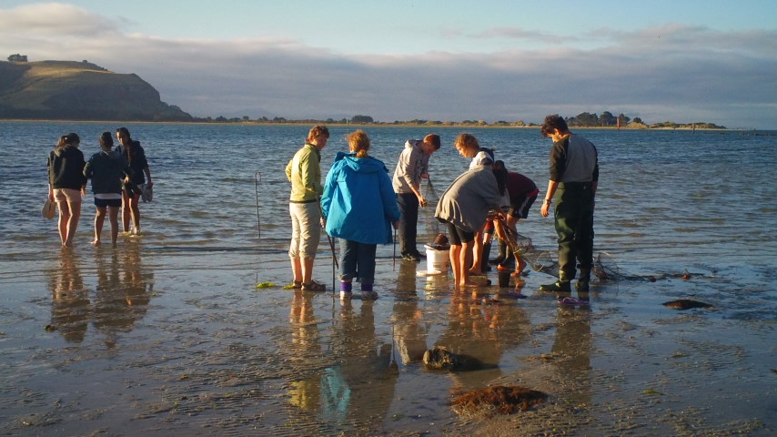students explore the wildlife in tidal pools in Otago Harbour