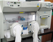 Photo of the anaerobic chamber in the Molecular Biosciences Laboratory 