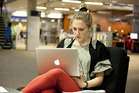 Student studying on laptop in library
