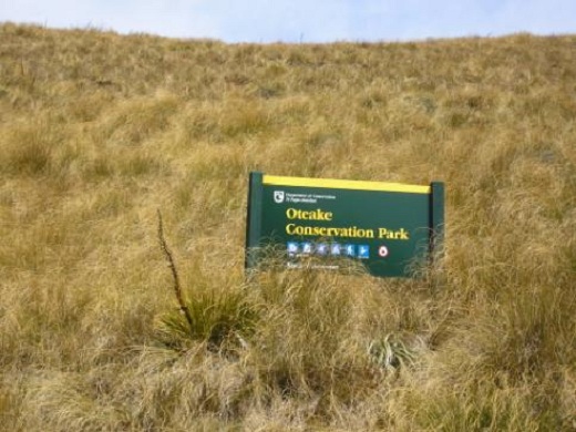 High country tussock land and conservation park