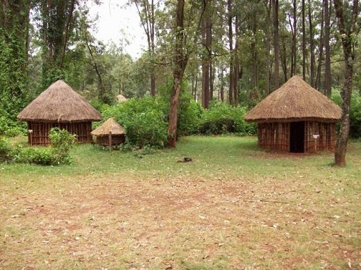 Traditional Homestead in Kenya