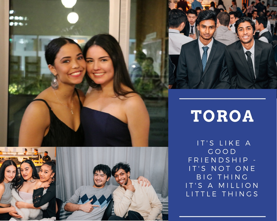 Toroa like a good friendship