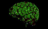 Brain represented as circuit board_thumbnail