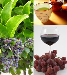 Green tea and red wine