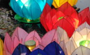 The water lilies are my favourite lanterns at the Christchurch Lantern festival (2016)<br />Photo: Anna Young