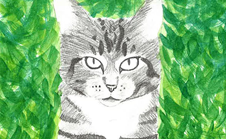 Painting of a grey cat on green grass