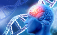 Montage graphic showing brain research and strands of DNA.
