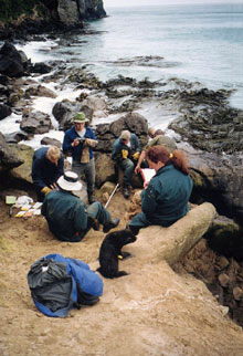 Students in the field with Seals