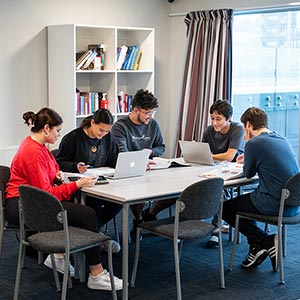 Te Rangi students studying in college library