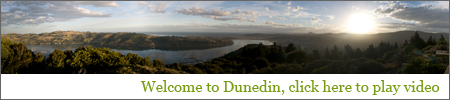 Welcome to Dunedin