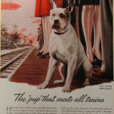 'America' in Pamaero Library Scrapbook, [1944-69]. 