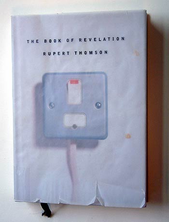 Rupert Thomson, The Book of Revelation.