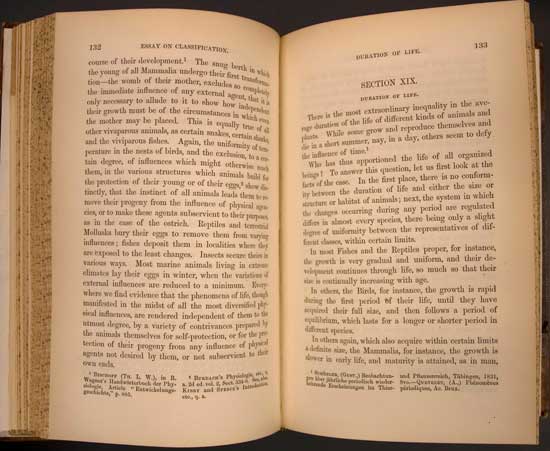 An Essay on Classification