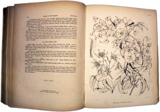 The Botany of the Antarctic Voyage of H. M. Discovery Ships Erebus and Terror