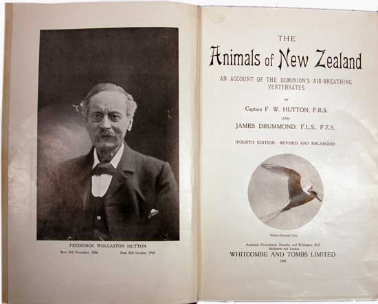 The Animals of New Zealand