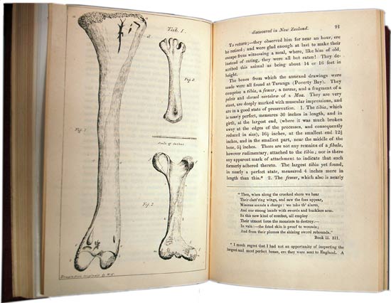 An Account of some enormous Fossil Bones, of an unknown species of the class Aves, lately discovered in New Zealand