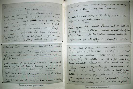 The Red Notebook of Charles Darwin