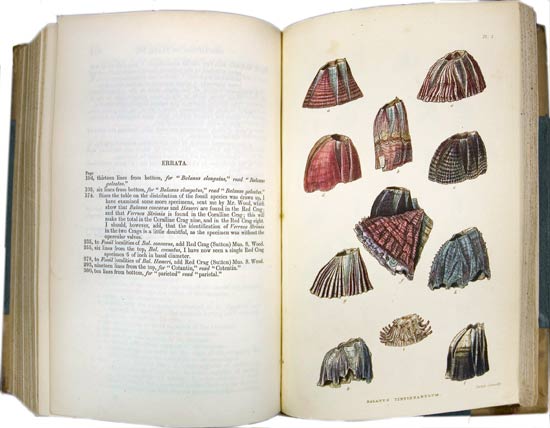 A Monograph on the Sub-class Cirripedia with Figures of all the Species