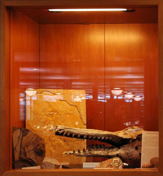 Evidence of Natural History