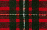 The Scottish Clans and Their Tartans. 
