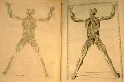 Bernhardus Siegfried Albinus, Explicatio Tabularum Anatomicarum Bartholomaei Eustachii, anatomici summi.