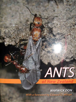 Ants of New Zealand