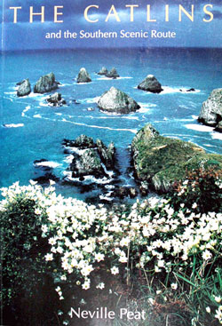 The Catlins and the Southern Scenic Route